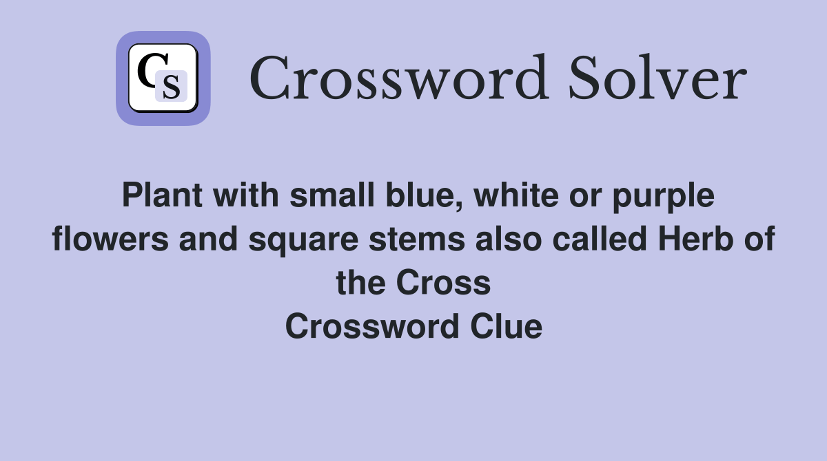 Plant with small blue, white or purple flowers and square stems also